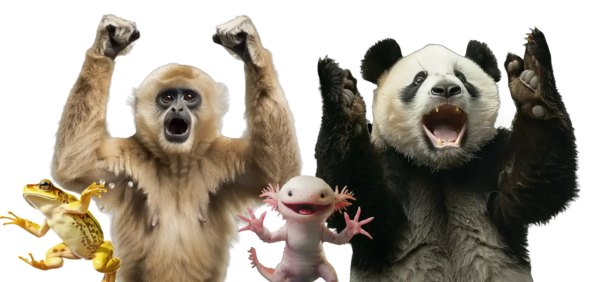 Cheering Animals